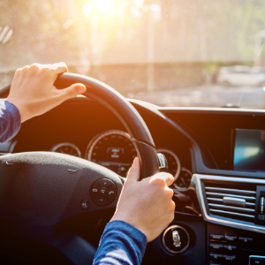 Transportation services and Land O' Lakes Community Services
